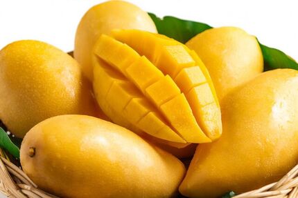 آغاز ثبت سفارش واردات انبه از ده خرداد