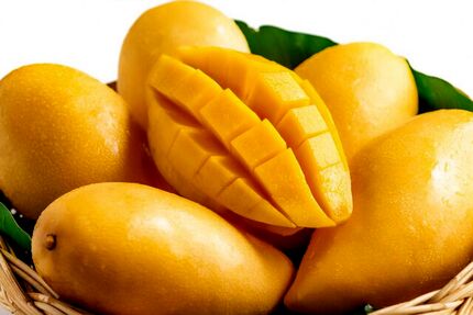 آغاز ثبت سفارش واردات انبه از ده خرداد