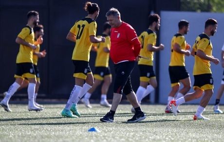 اسکوچیچ: طارمی فوق العاده است اما باید به ارزش‌ها احترام بگذاریم