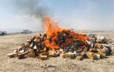۸۵۰۰ کیلو موادغذایی تاریخ گذشته در جیرفت معدوم شد
