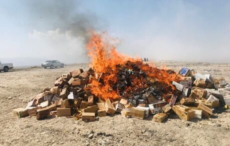 ۸۵۰۰ کیلو موادغذایی تاریخ گذشته در جیرفت معدوم شد