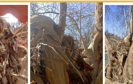پیدا شدن اسکلت یک مرد در رودخانه‌ بلبرم ممسنی