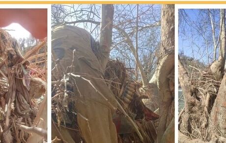 پیدا شدن اسکلت یک مرد در رودخانه‌ بلبرم ممسنی