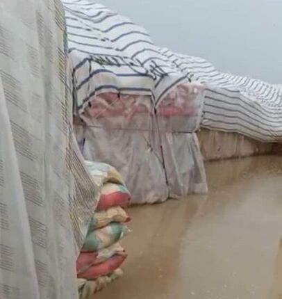 واکنش واردکنندگان به آبگرفتگی محموله‌های برنج در زاهدان