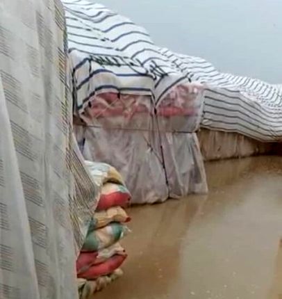 واکنش واردکنندگان به آبگرفتگی محموله‌های برنج در زاهدان