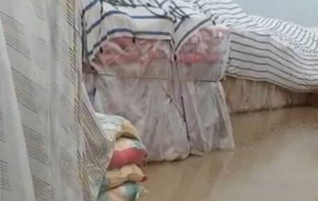 واکنش واردکنندگان به آبگرفتگی محموله‌های برنج در زاهدان