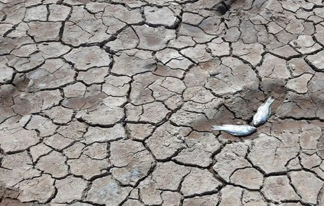 ۷۰ درصد تالاب‌های ایران خشک شدند