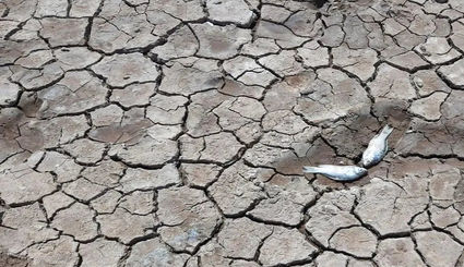 ۷۰ درصد تالاب‌های ایران خشک شدند