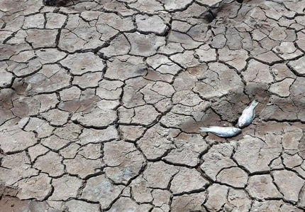 ۷۰ درصد تالاب‌های ایران خشک شدند