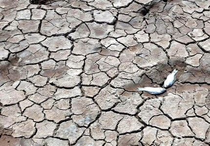 ۷۰ درصد تالاب‌های ایران خشک شدند