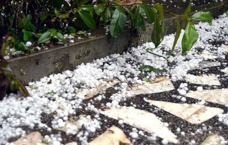 خسارت سنگین تگرگ به کشاورزی خوی