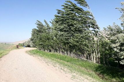 هشدار هواشناسی: وزش باد خیلی شدید در شرق کشور/ وقوع رگبار در ۱۳ استان