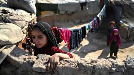 پالایش اطلاعات پنج میلیون مددجوی کمیته امداد/اتصال اطلاعات نیازمندان به خیران