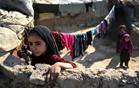 پالایش اطلاعات پنج میلیون مددجوی کمیته امداد/اتصال اطلاعات نیازمندان به خیران