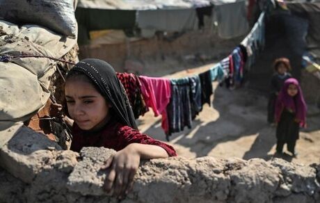 پالایش اطلاعات پنج میلیون مددجوی کمیته امداد/اتصال اطلاعات نیازمندان به خیران
