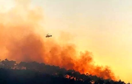 بخشی از جنگل‌های ترکیه در آتش می‌سوزند