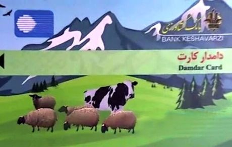 افزایش سقف تسهیلات دامدارکارت به ۲ میلیارد ریال