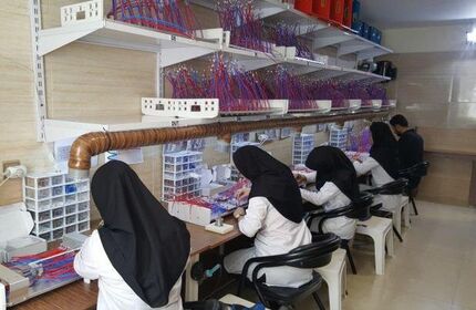 فعالیت ۱۶۷۰ شرکت دانش‌بنیان در حوزه سلامت/ارتقای ۶۰ رتبه‌ای ایران در فناوری سلامت