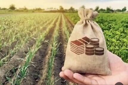 افزایش ۱۰۰ برابری قبض ماهانه یک چاه کشاورزی / کشاورزان در مخمصه