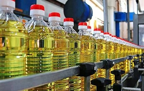 رکورد تولید روغن نباتی در کشور در ۸۰ سال اخیر بیسابقه بوده است