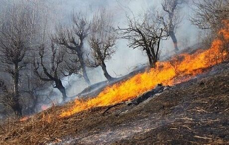 ۱۴ هکتار از مراتع شهرستان قوچان در آتش سوخت