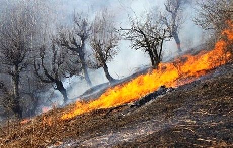 ۱۴ هکتار از مراتع شهرستان قوچان در آتش سوخت