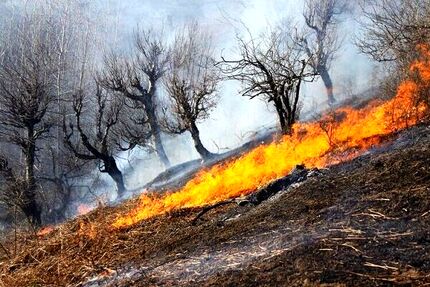 ۱۴ هکتار از مراتع شهرستان قوچان در آتش سوخت