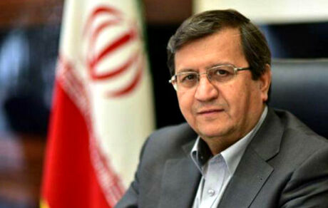 همتی: خانه های تحت مالکیت بانک ها خالی نیستند!
