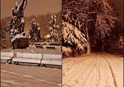 کاخهای سعدآباد و نیاوران همچنان تعطیل اند