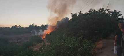 علت آتش سوزی پارک پردیسان در دست بررسی است