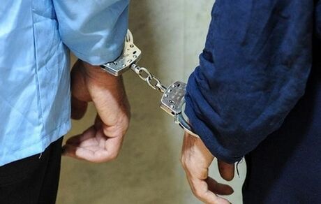 بازداشت تعدادی از مدیران اداره منابع طبیعی و آبخیرداری تهران / دلیل: رشوه