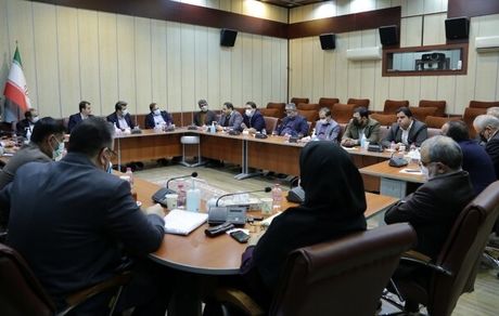 یک دستور برای تشکیل شورای اخلاق حرفه‌ای سینما