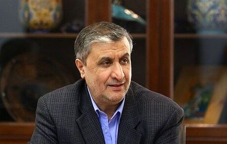رئیس سازمان انرژی اتمی کشورمان وارد وین شد