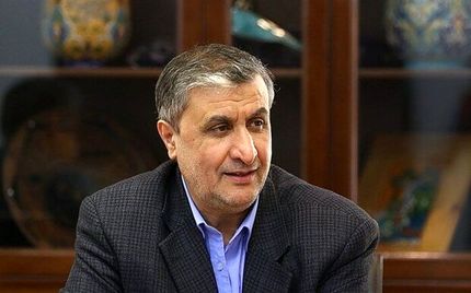 رئیس سازمان انرژی اتمی کشورمان وارد وین شد