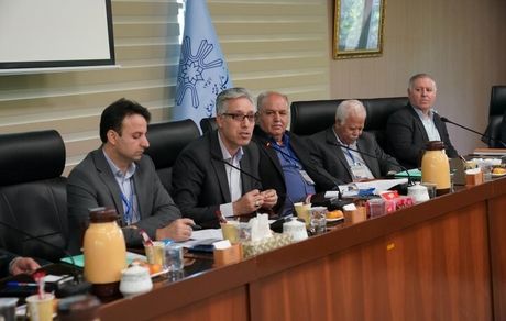 آمار عجیب صادرات گیاهان زینتی از ایران