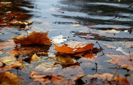 میزان بارندگی در پاییز تقریبا نصف شد