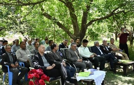 جشنواره برداشت عدس در ورزقان برگزار شد
