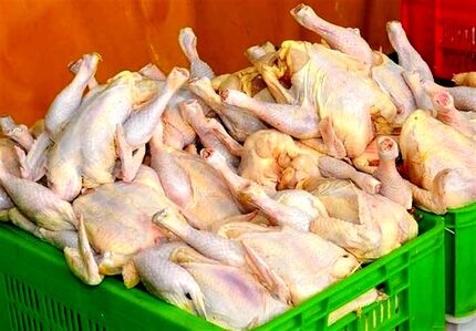 توزیع گسترده مرغ منجمد در سراسر کشور با قیمت مصوب