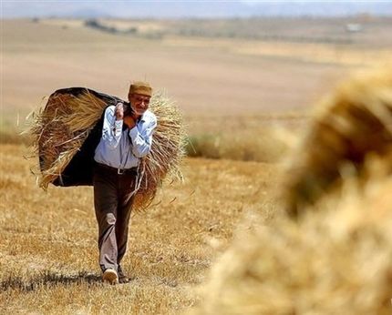 ضرورت برخورداری کشاورزان مستقل وخویش فرما از بیمه/ برخی سنگ اندازی می کنند