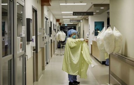 موارد ابتلا به آبله میمونی در سوئیس و هلند هم دیده شد