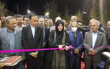 افتتاح پانزدهمین نمایشگاه ملی صنایع دستی در سیرجان