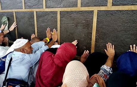آغاز پیگیری زیرساخت‌ها و قراردادهای مربوط به حج تمتع سال آینده