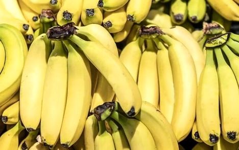 انتقاد رئیس اتحادیه ملی صادرات محصولات کشاورزی از استمرار شرط واردات موز در قبال صادرات سیب