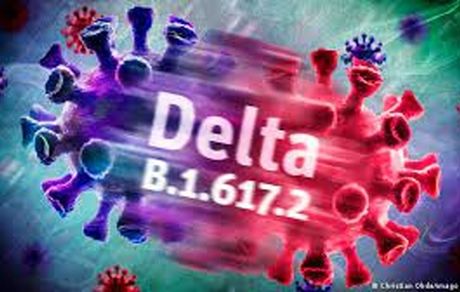 ویروس جهش یافته کرونای دلتای هندی به مشهد رسید