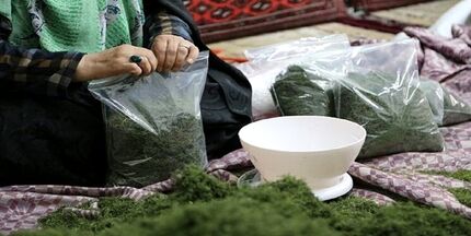 سال گذشته، ۹۰ درصد تسهیلات مشاغل خانگی توسط استان‌ها جذب شد