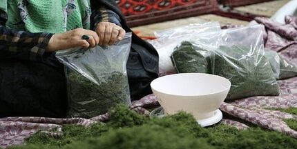 سال گذشته، ۹۰ درصد تسهیلات مشاغل خانگی توسط استان‌ها جذب شد