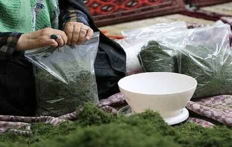 سال گذشته، ۹۰ درصد تسهیلات مشاغل خانگی توسط استان‌ها جذب شد