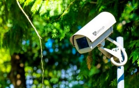 نصب ۳۸ دوربین در مناطق بحرانی برای حفاظت از جنگل‌ها