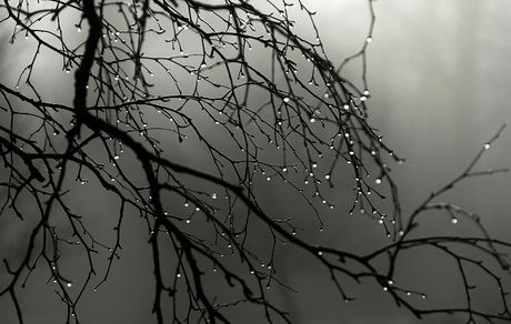 جمعه منتظر آغاز دوباره بارندگی در کشور باشید