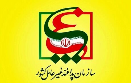 جاسوس اعدام شده سمتی در سازمان پدافند غیرعامل نداشته است